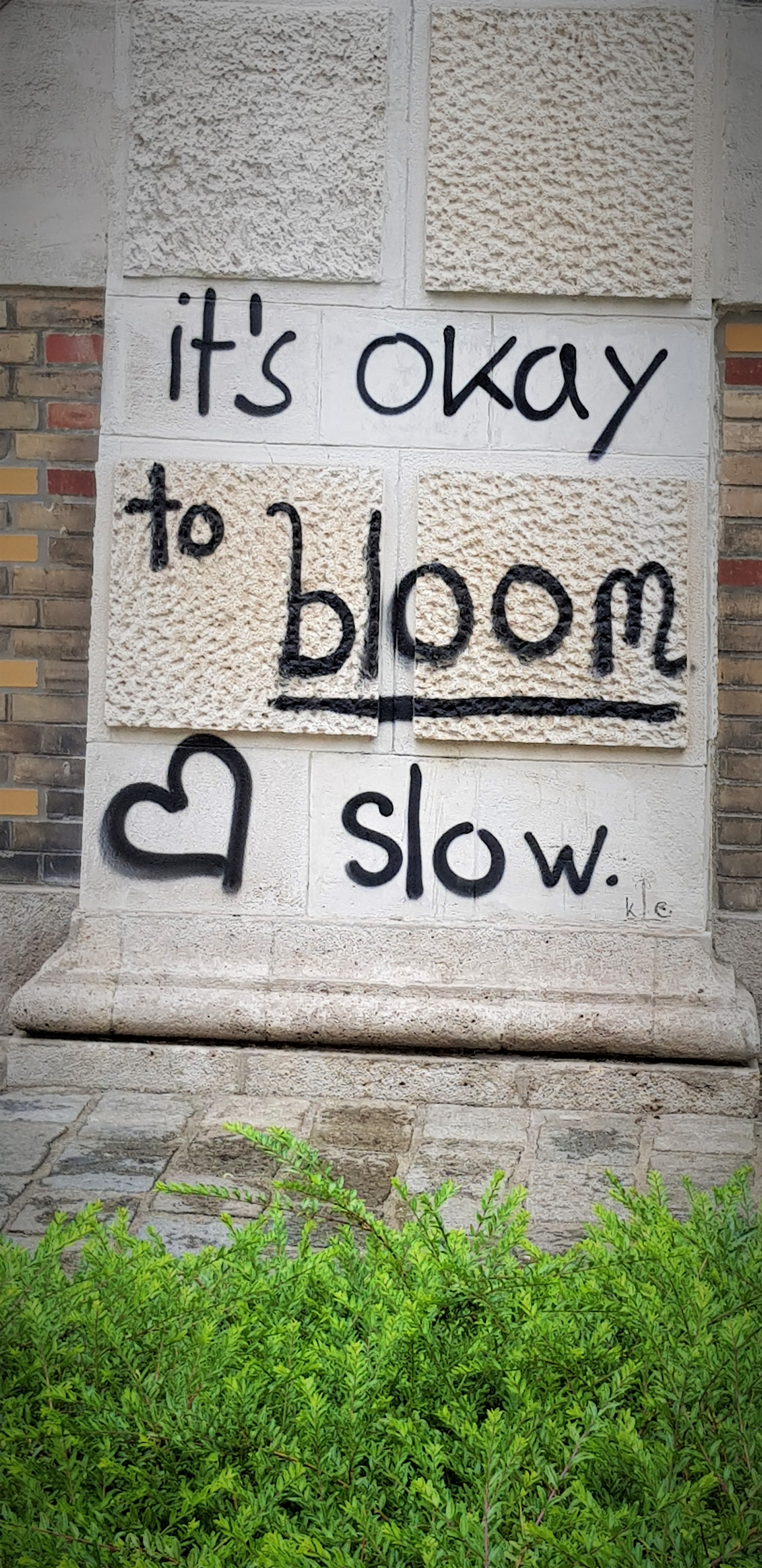 Wand mit Spruch: 'It's okay to bloom slow.'